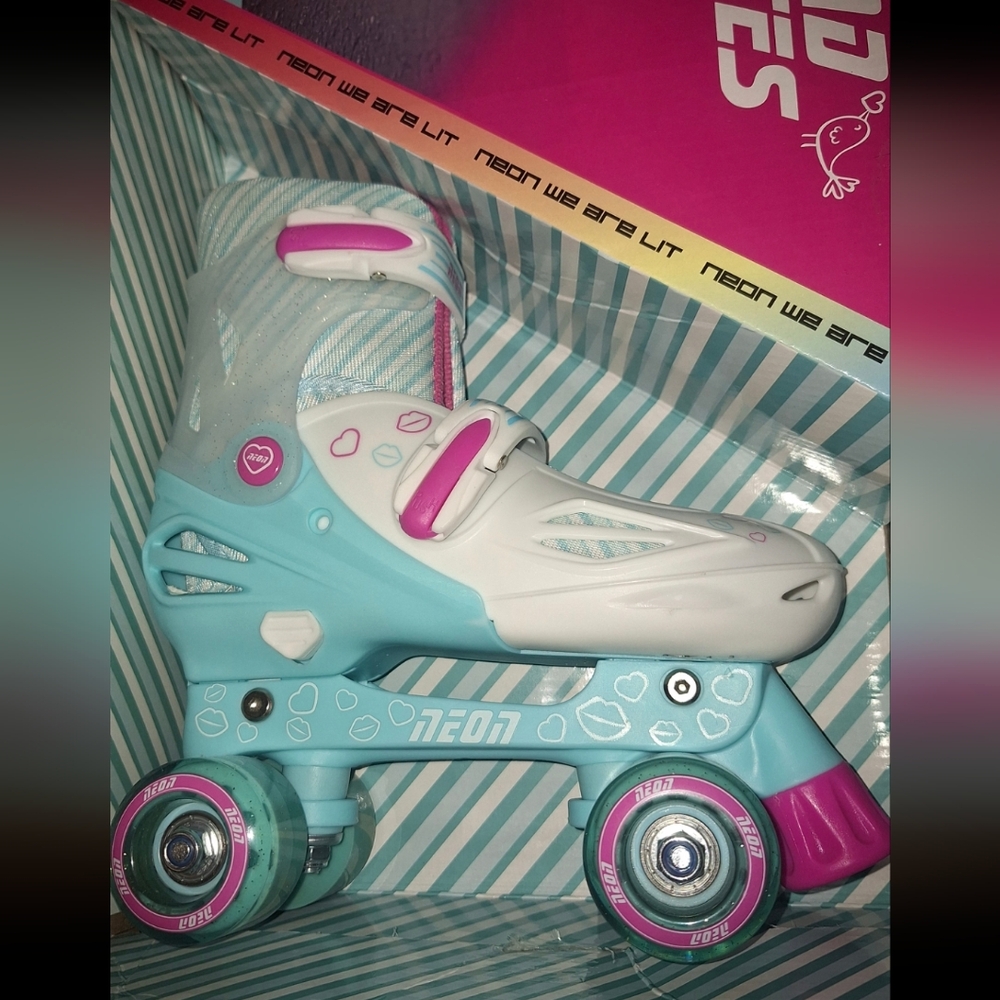 💲Blue and Pink Skate Set